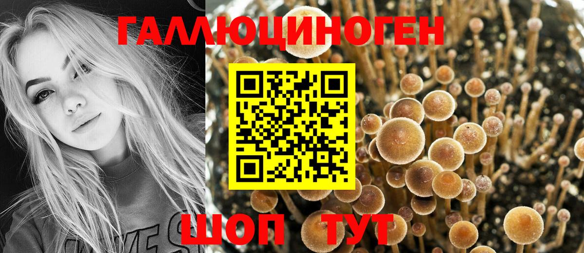 Галлюциногенные грибы GOLDEN TEACHER Биробиджан
