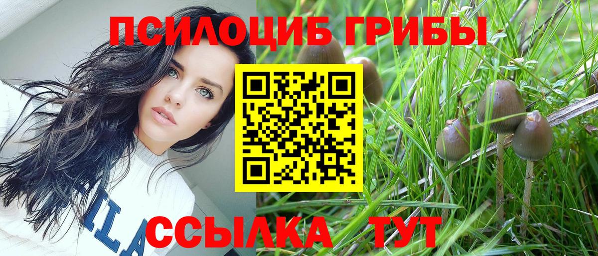 хочу наркоту  Вход с VPN  Биробиджан  Псилоцибиновые грибы мицелий 